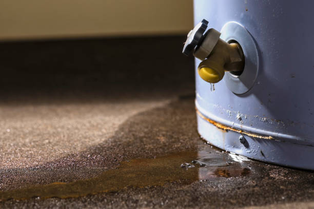 Best Basement water damage restoration  in Mankato, MN