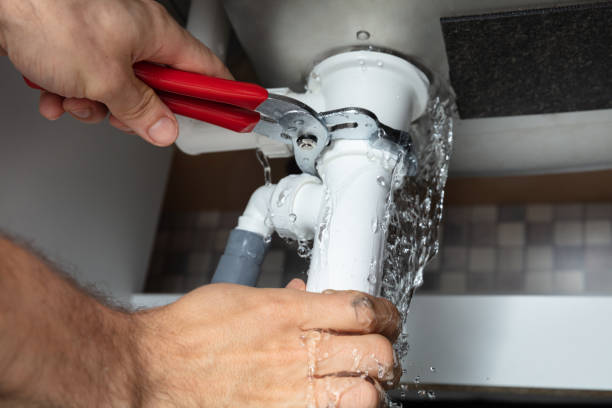 Best Flood restoration services  in Mankato, MN