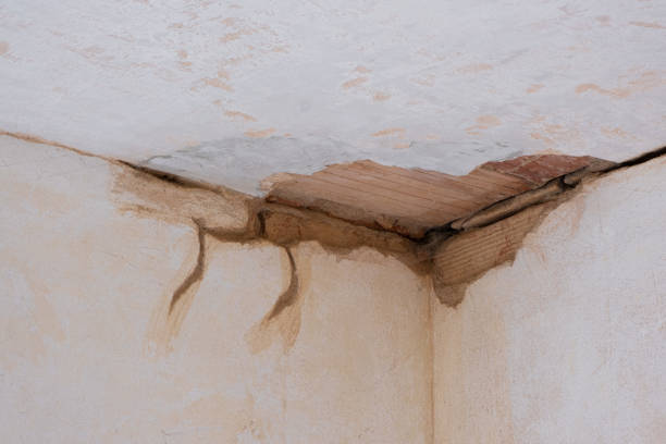 Best Mold removal after water damage  in Mankato, MN