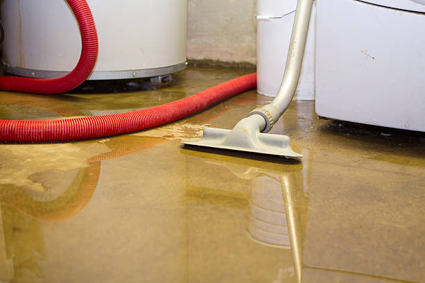Best Water damage restoration near me  in Mankato, MN