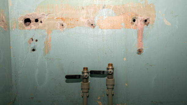 Best Sewage cleanup and water damage restoration  in Mankato, MN