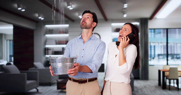 Best Carpet water damage restoration  in Mankato, MN